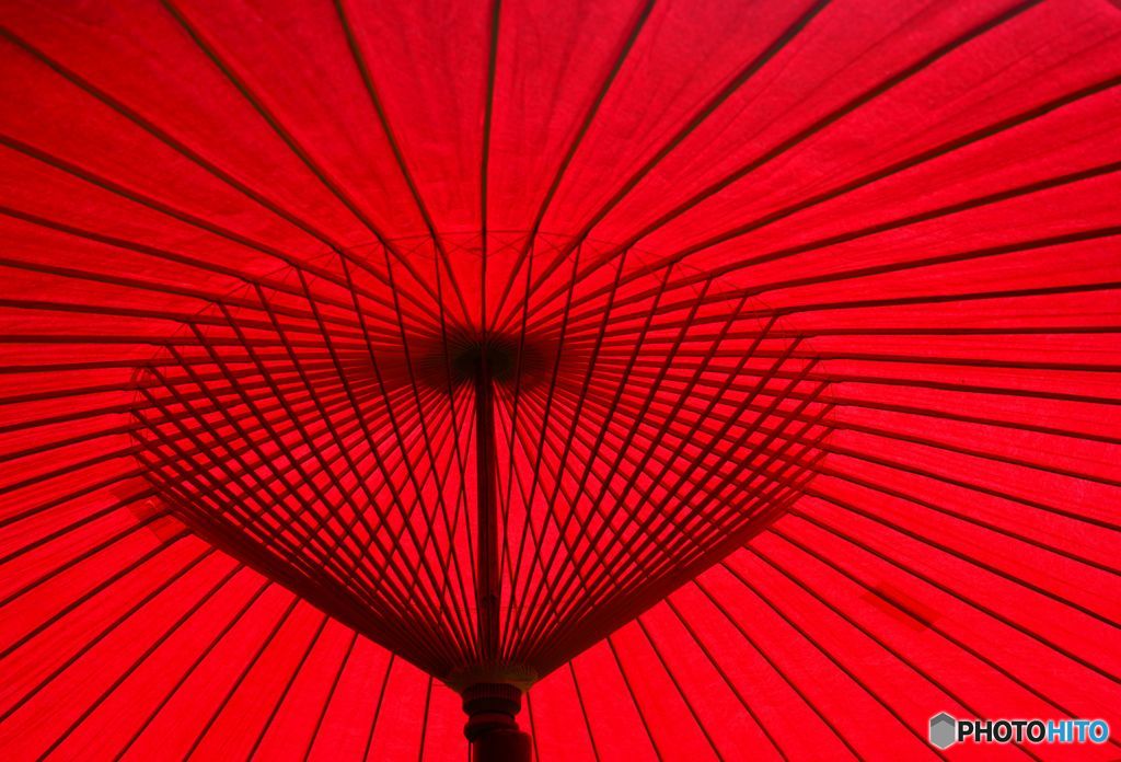 陽射しの影の紅Ⅱ。