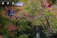 項峯院鎮国寺大師堂