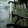 Rainny Fall -3