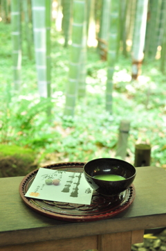 鎌倉の竹林②