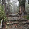 熊野古道　大門坂