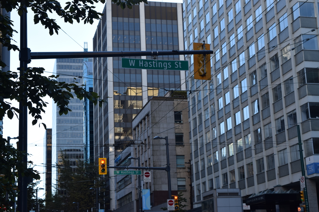 DSC_0677