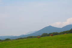蒜山高原にて