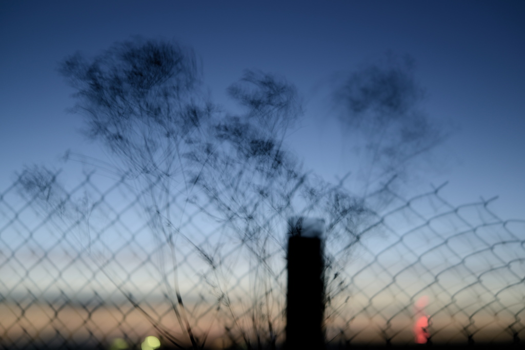 二度と撮れない写真・・・笑