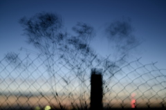 二度と撮れない写真・・・笑