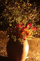 光花