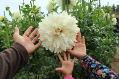 花フェスタにて