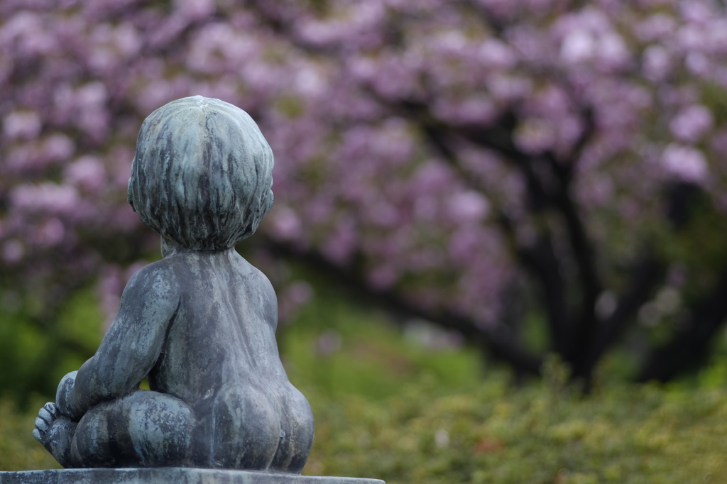 桜餅って言うしな～