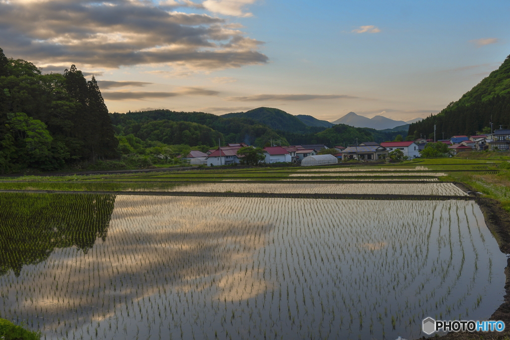 空色の田んぼ