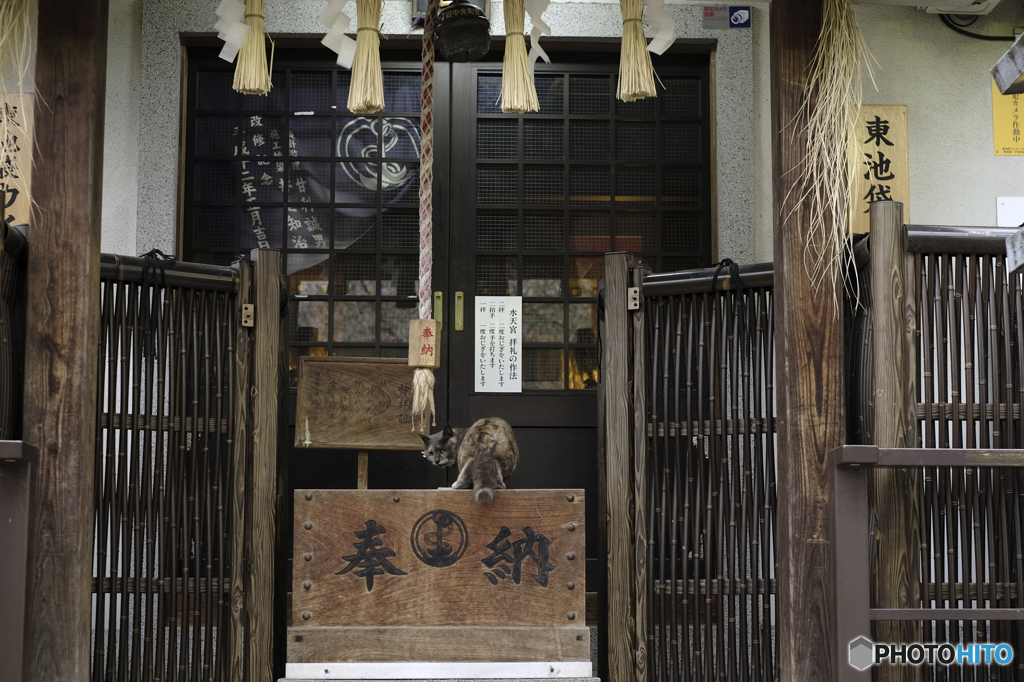 現行犯
