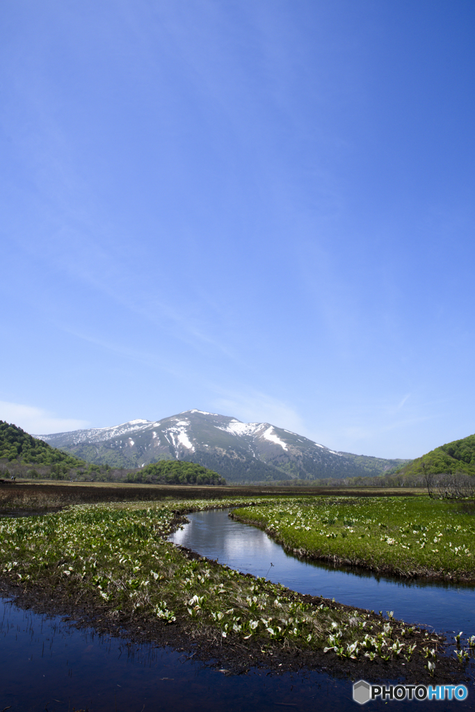 至仏山から春の便り