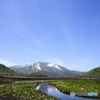 至仏山から春の便り