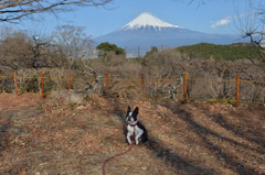 新年初撮り