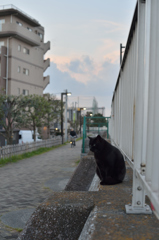 ぶらり撮り