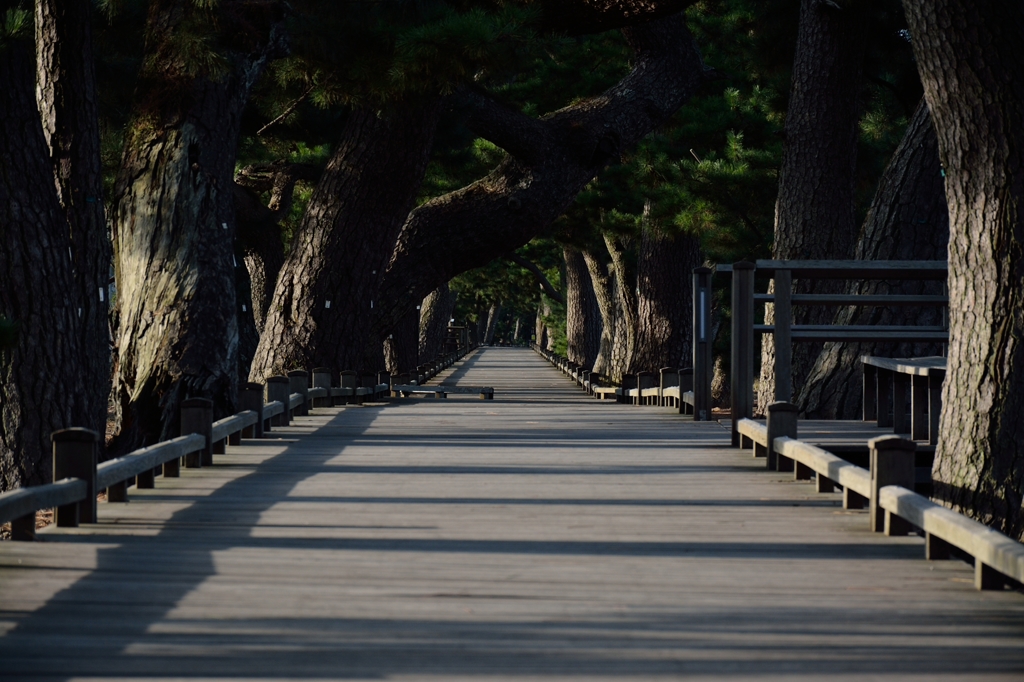 帰り道