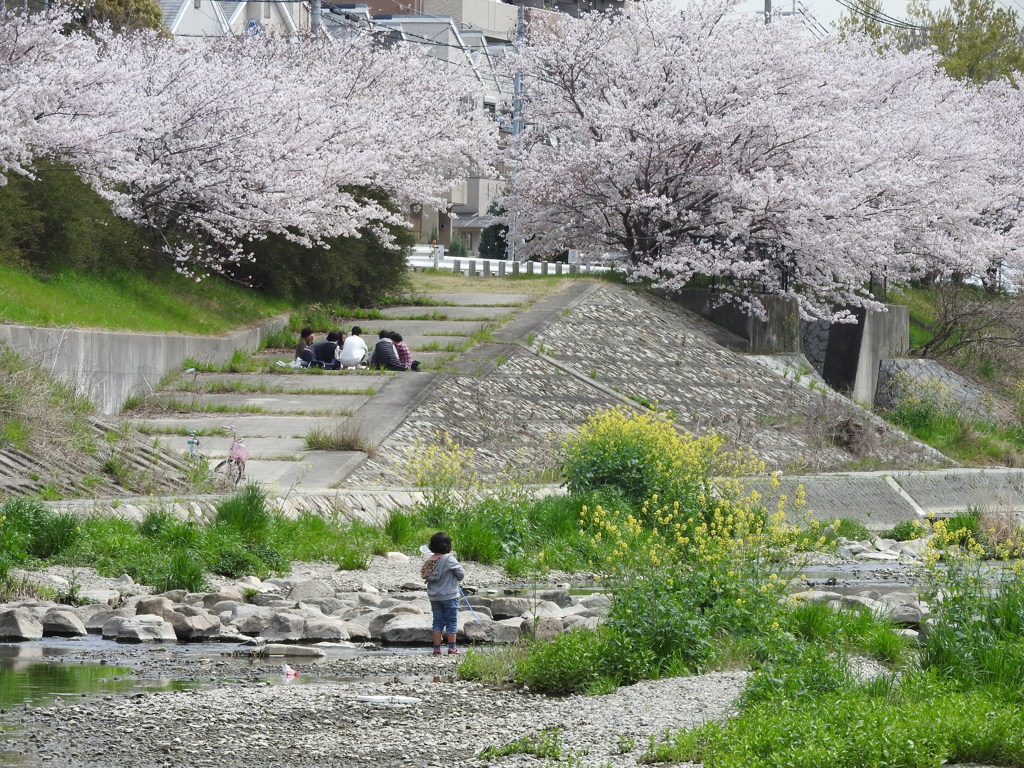 それぞれの春