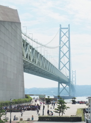 対比