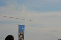 ブルーインパルス@向島5