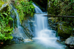 水