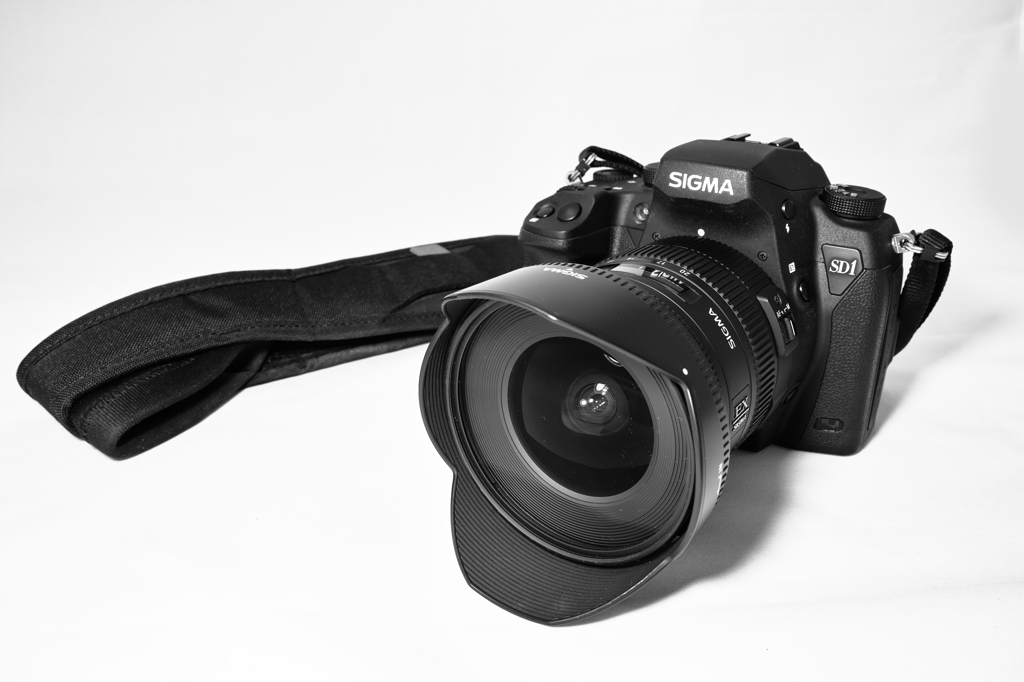 SIGMA SD1 Merrill