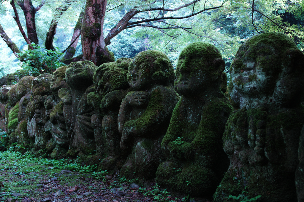 愛宕念仏寺　１