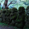 愛宕念仏寺　１