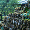 愛宕念仏寺　５
