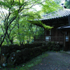 愛宕念仏寺　４