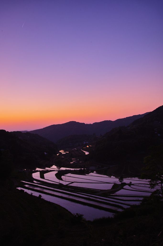 夕陽に染まる棚田