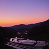 夕陽に染まる棚田