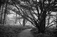 IMG_0101