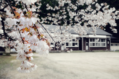 学び舎