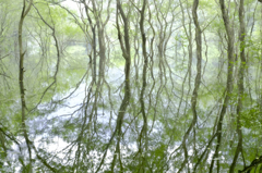五蔵の池