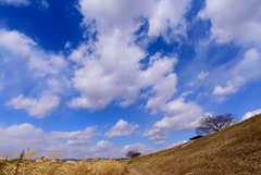 青空と雲