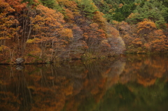 Local pond