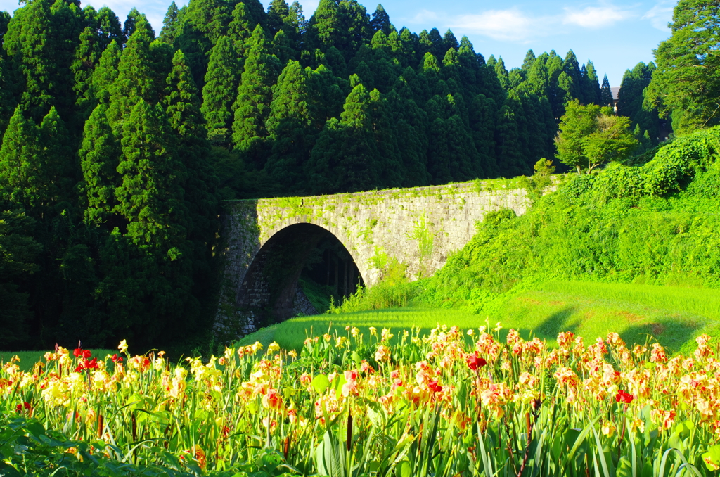 花と通潤橋