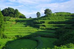 朝陽と棚田