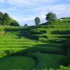 朝陽と棚田