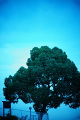 冷たい空