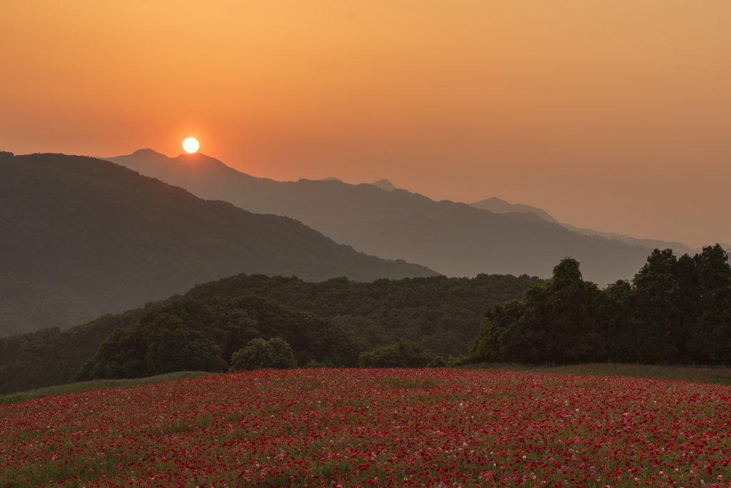 あの山の向こうへ