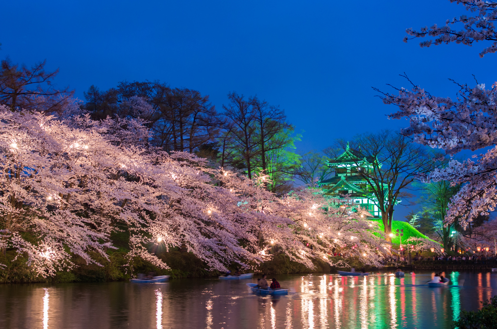 夜桜