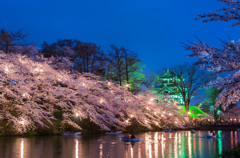 夜桜