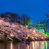 夜桜