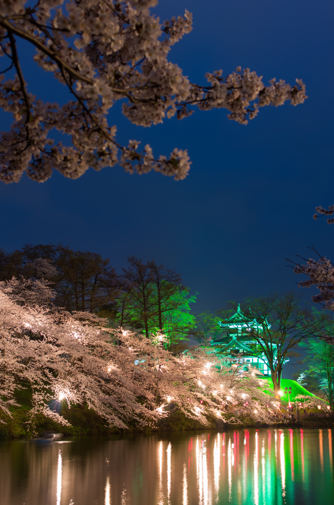 夜桜②