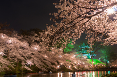 夜桜③