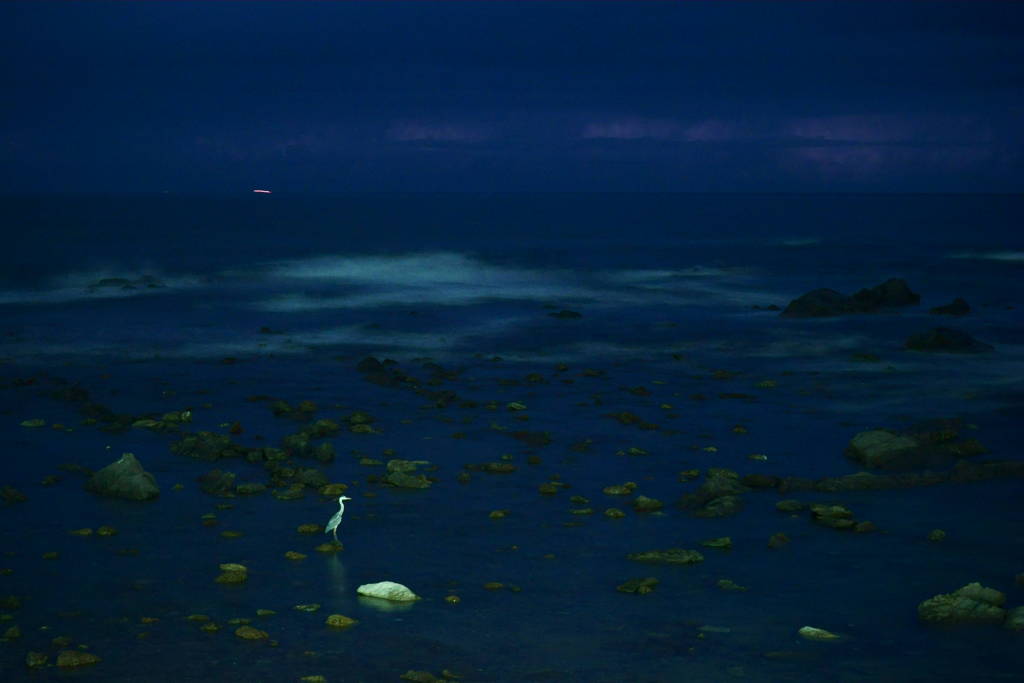 solitary south shore