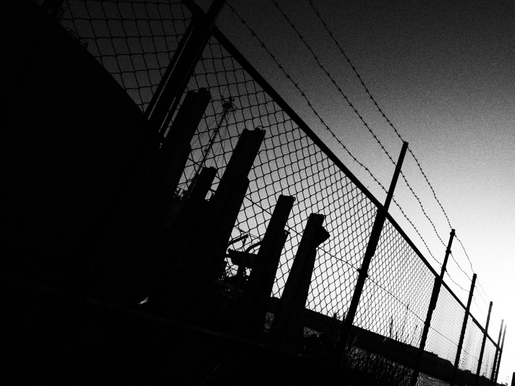 in the monotone memories