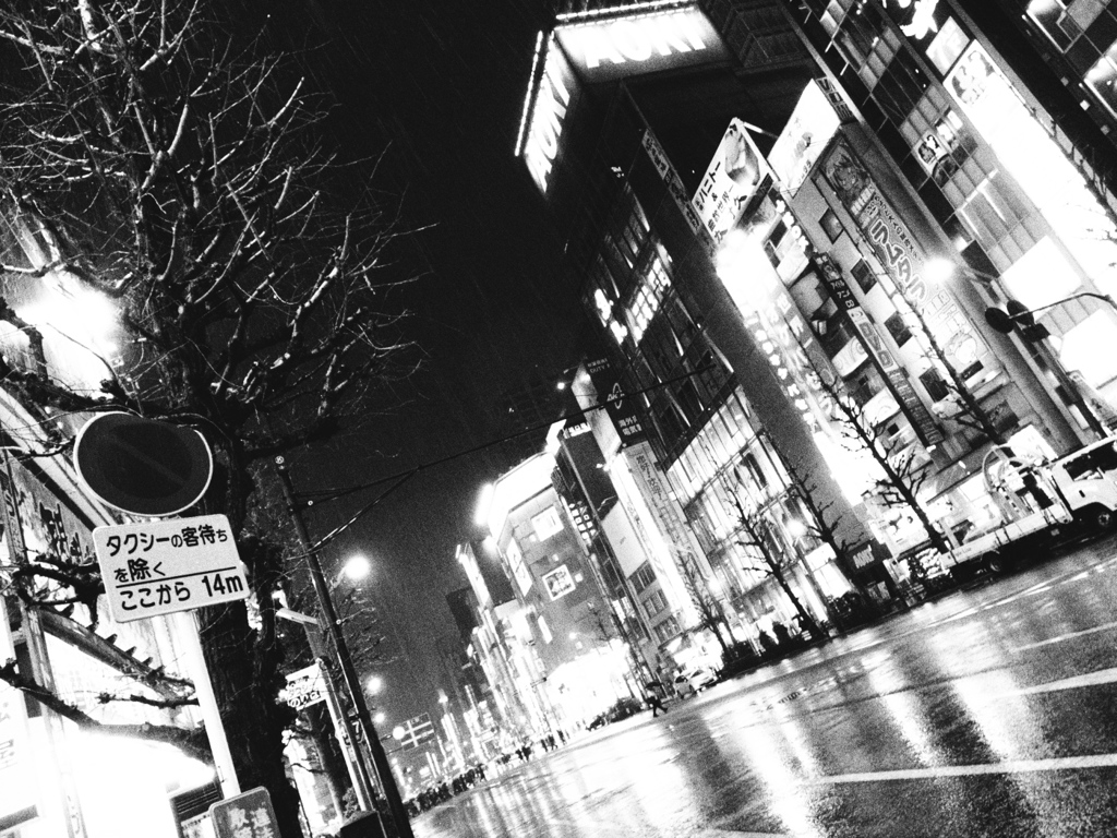 Akihabara pouring down 2