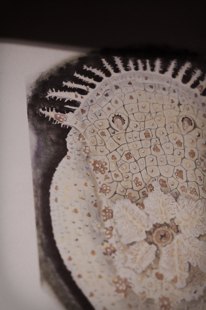 panspermia 2