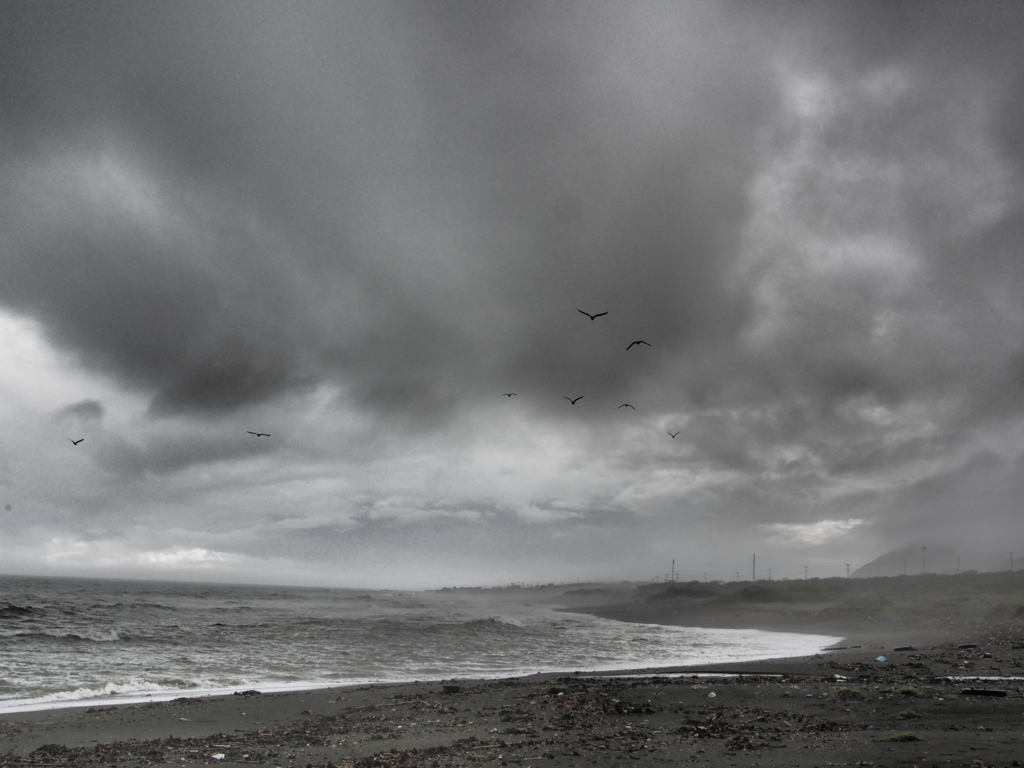 nothing for the sea 17